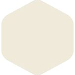 Paint Sample - Beige