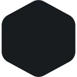 Paint Sample - Black