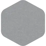 Paint Sample - Metallica Silver