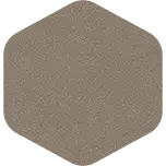 Paint Sample - Metallic Tan