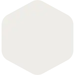 Paint Sample - Site White