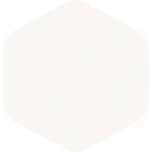 Paint Sample - White