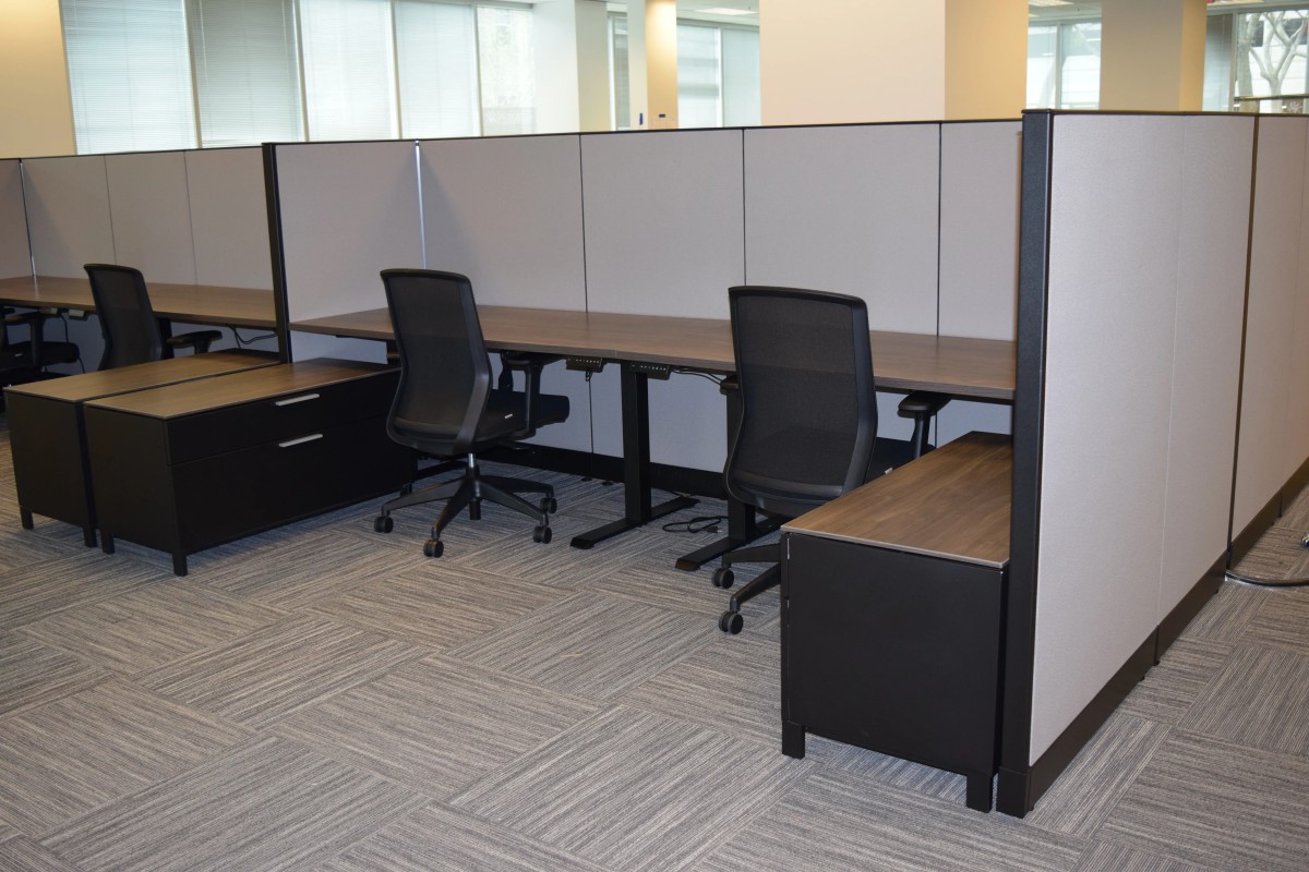 View of 4 inline remanufactured Knoll Morrison workstations with 56"h beige panels with dark trim, dark wood tone laminate adjustable height worksurfaces, and free-standing lateral files, and black ergnomic task chairs for employee comfort